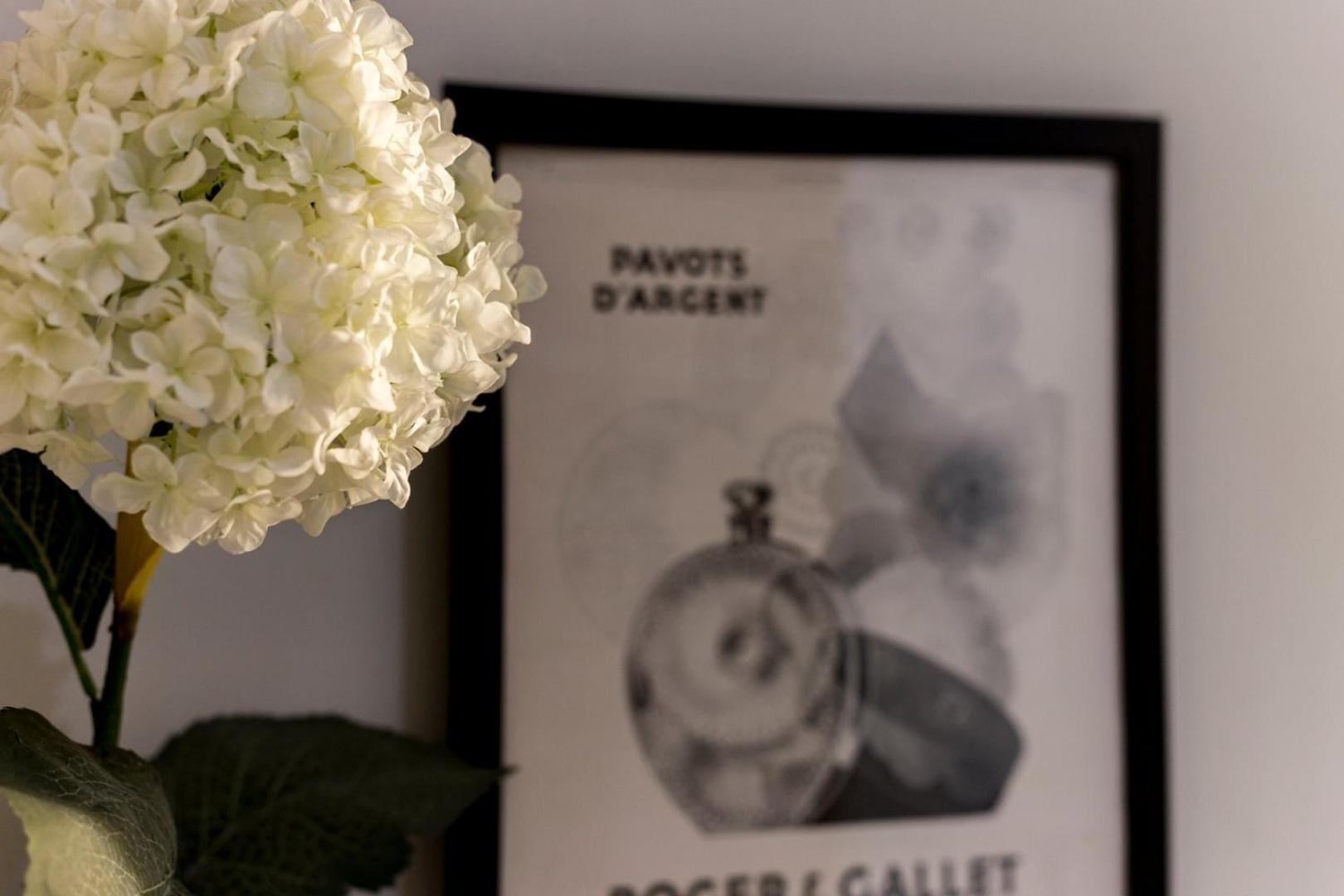 L'Ethnic Ambience - Superbe Appartement Tout Confort Au Coeur Du Vieux 里昂 外观 照片